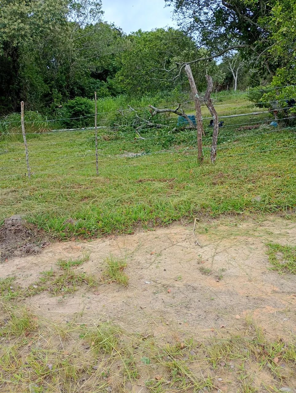 Foto - Saquarema - Bonsucesso (Bacaxá)