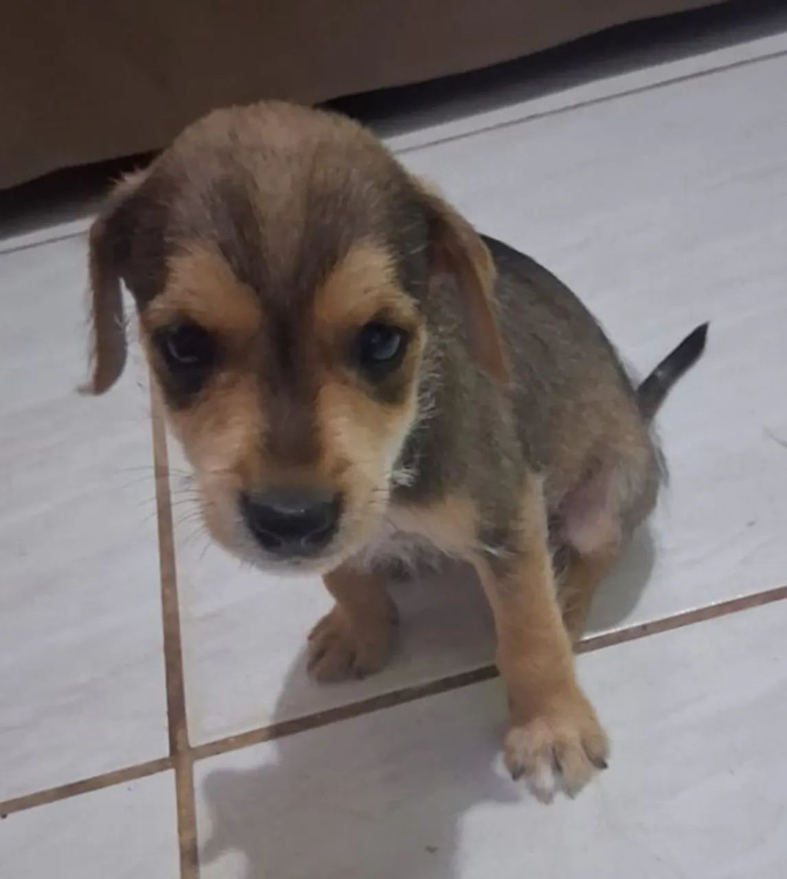 Doação  - Foto 2
