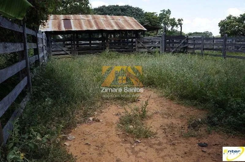 Fazenda - 681 hectares - São João da Aliança  Goiás - Foto 4
