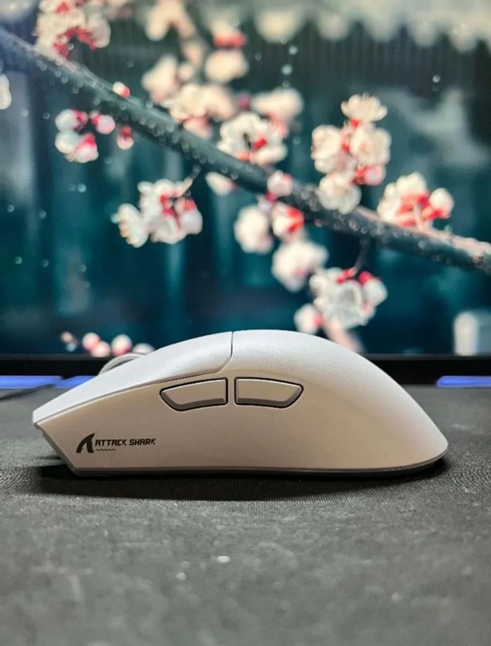 Mouse gamer