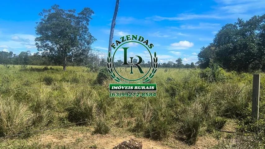 FAZENDA DUPLA APTIDÃO REGIÃO PEDRO AFONSO - Foto 3