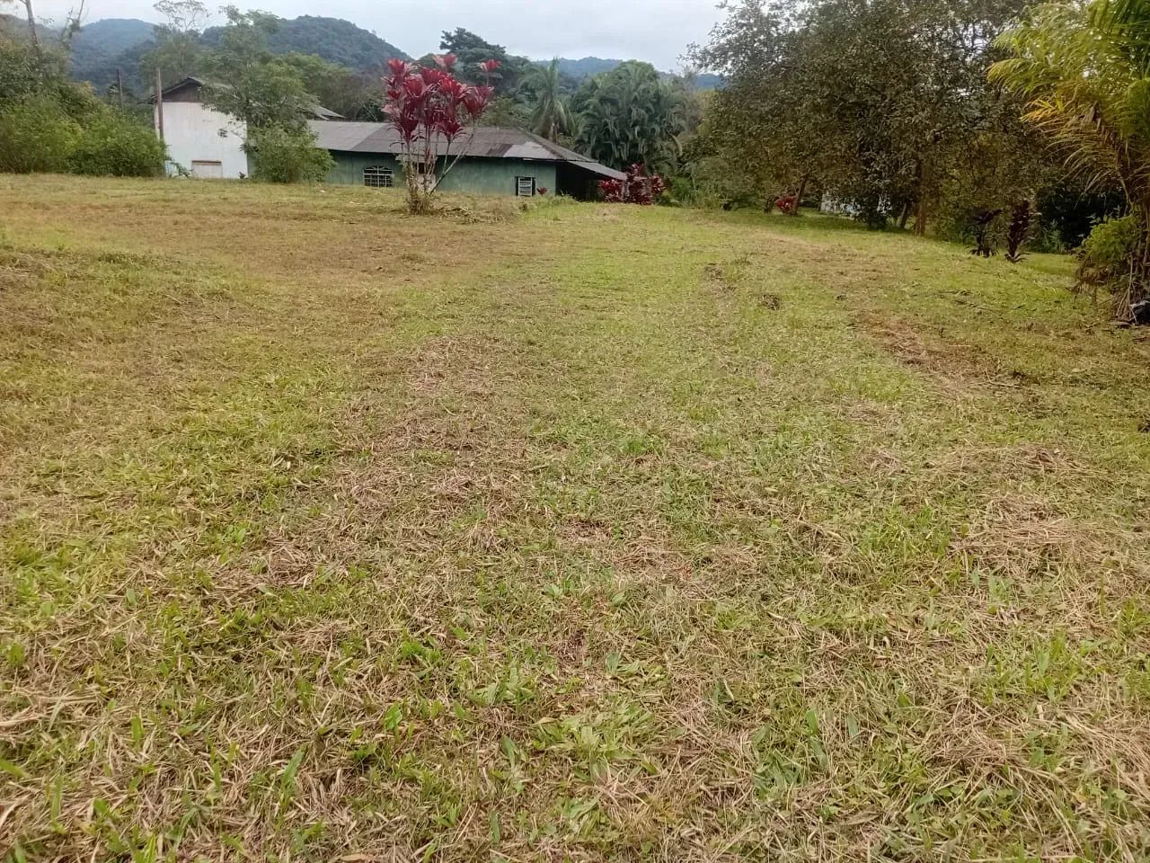 Chácara à Venda em Potinga  Guaraqueçaba/PR - Foto 5