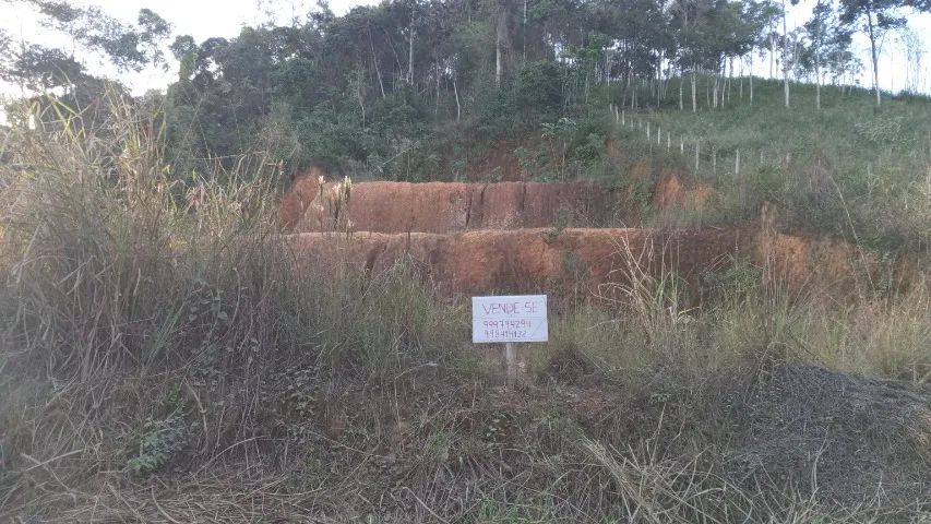 Terreno em Amparo - Barrac Mansa - 4.200m² - Foto 3