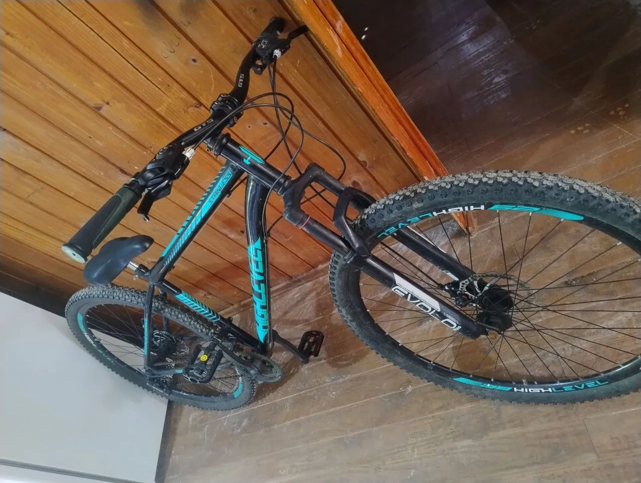 Bicicleta 