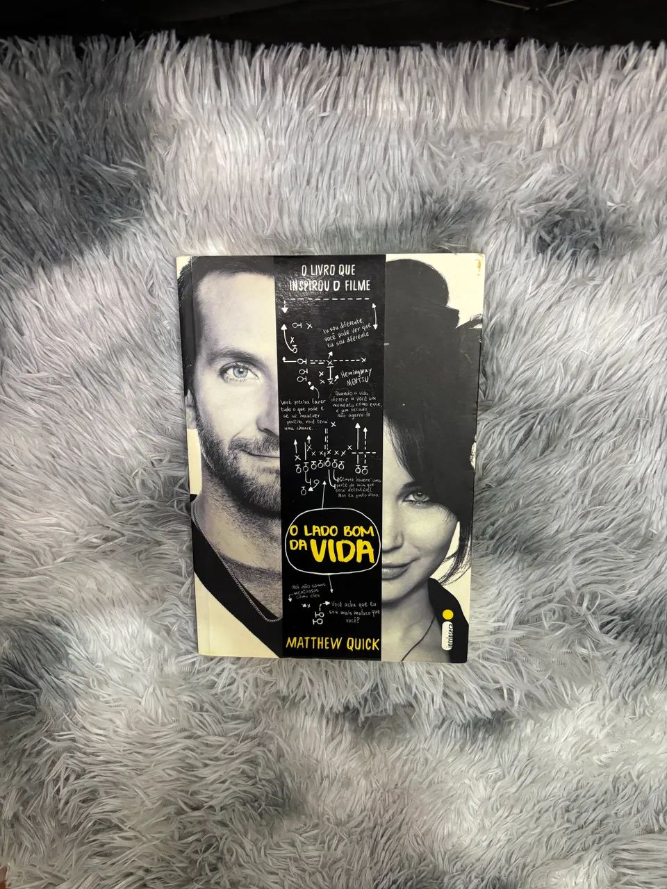Livro - O lado bom da vida 
