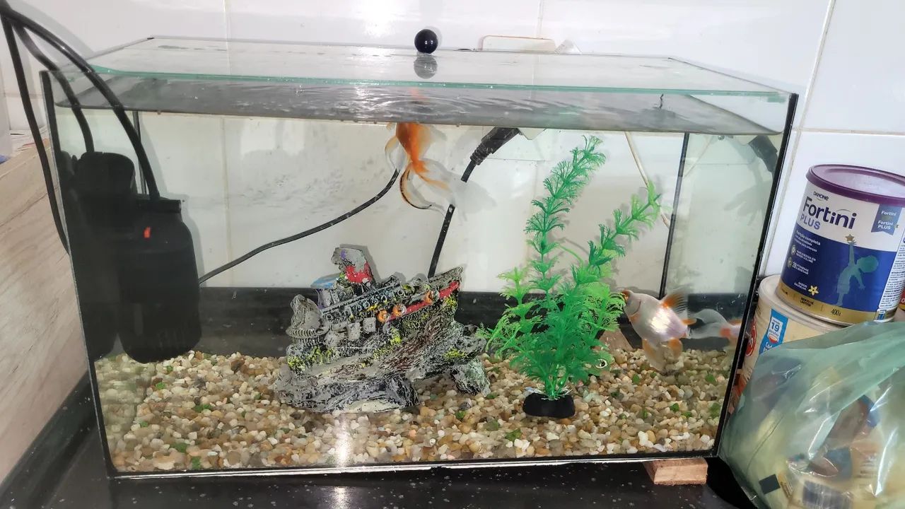Aquário 50 litros e acessórios  - Foto 6