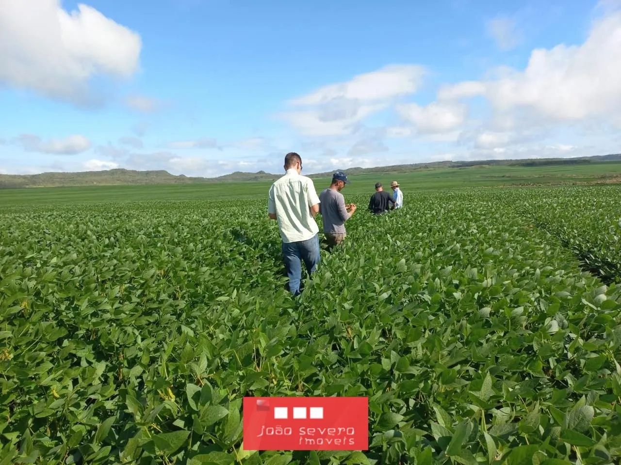 Fazenda para Venda em Balsas
