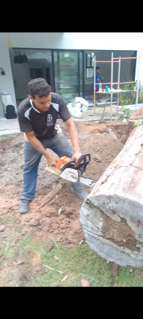 Corte e poda entre outros serviços. 