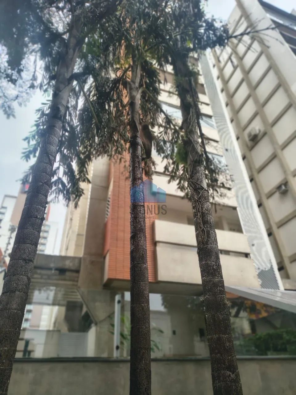 Venda Apartamento de 179m² com 3 dormitórios 1 Suíte - Cambuí - Foto 2