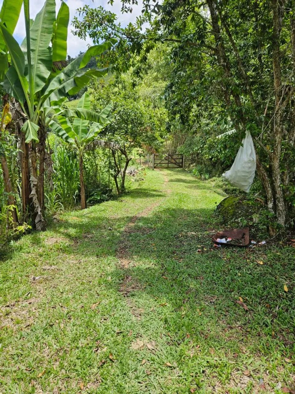 Foto - Natividade da Serra - 