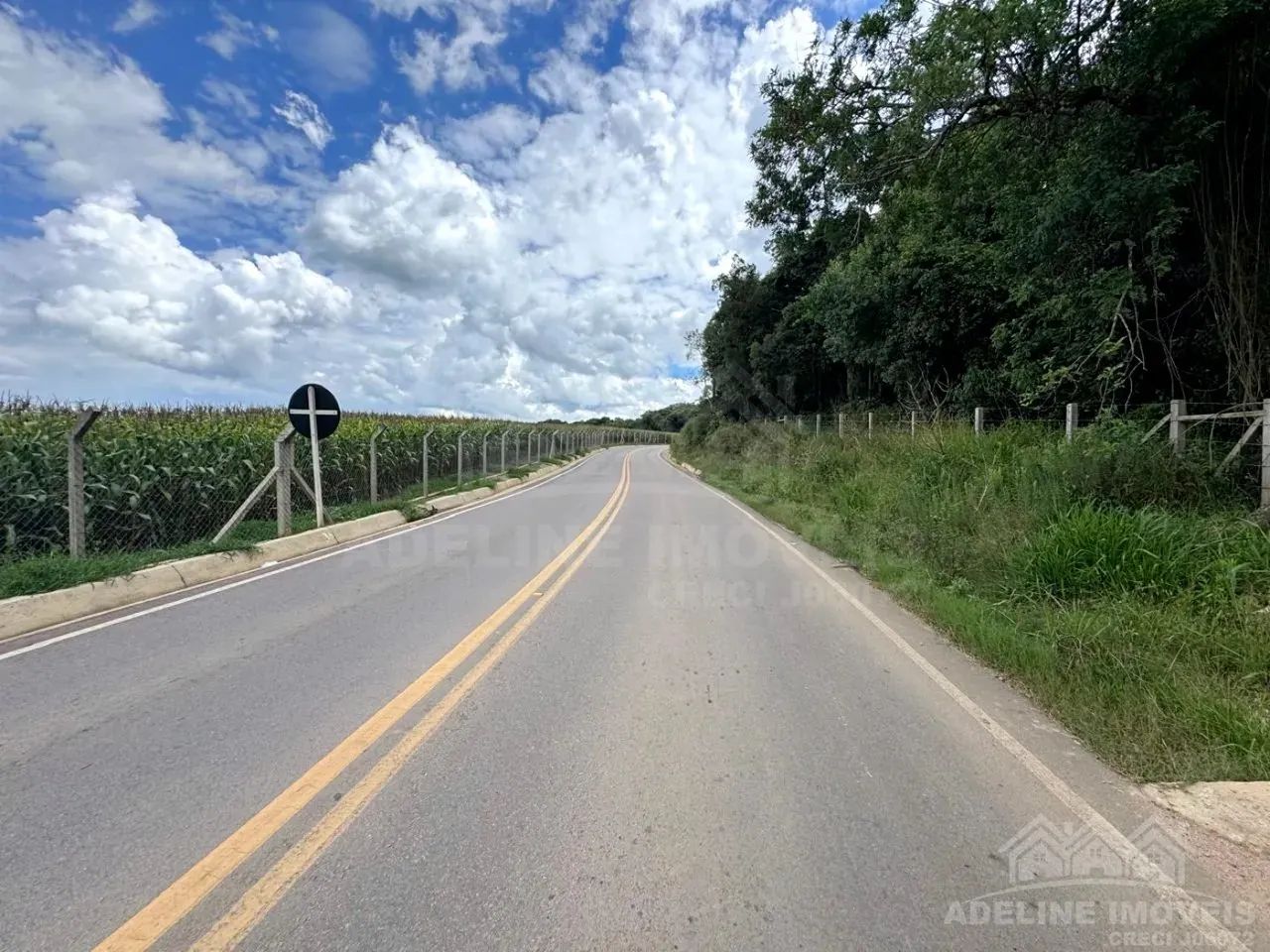 Chácara Catanduva Carambeí - Foto 4