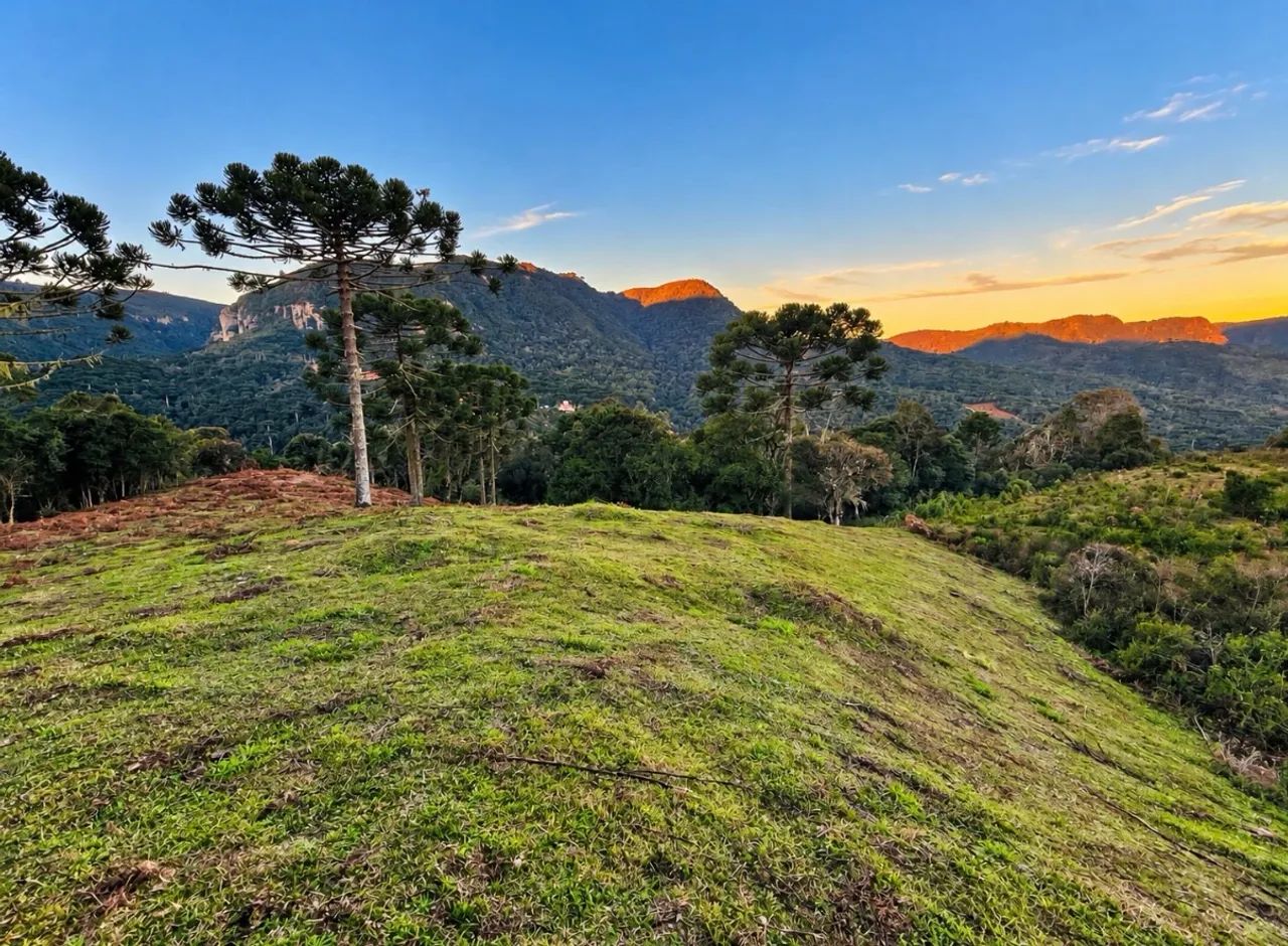 Terreno com 5 hectares em Urubici SC