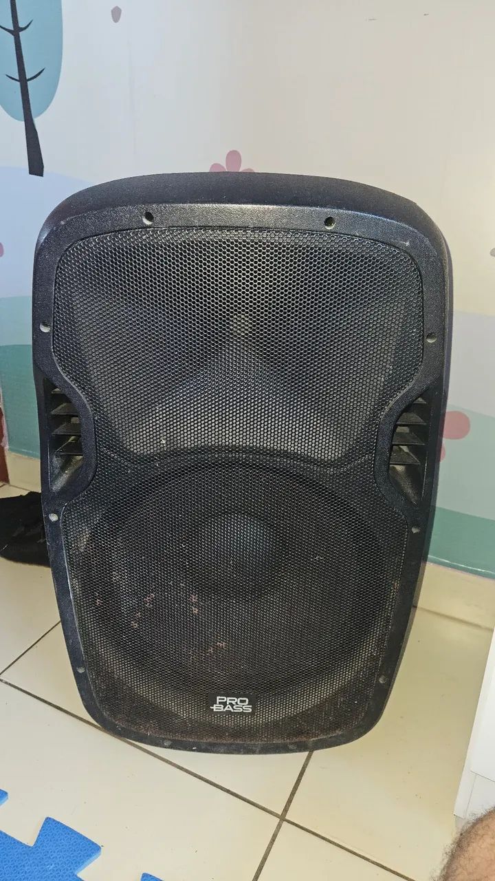 Caixa de Som 15 polegadas 800w