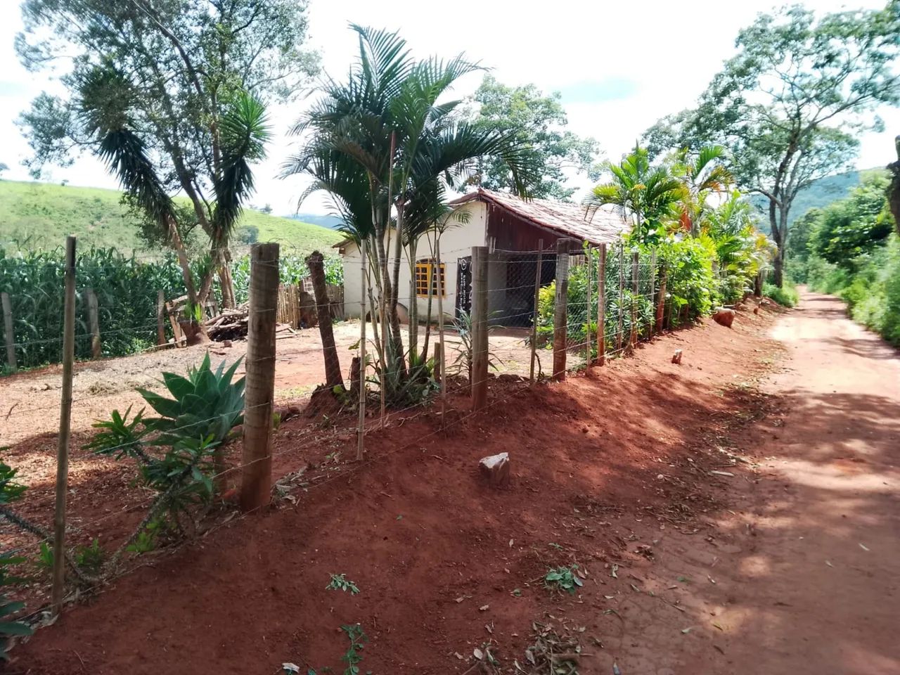 Roça Sítio Rancho Localizado na Canoa (Cláudio) - Foto 2