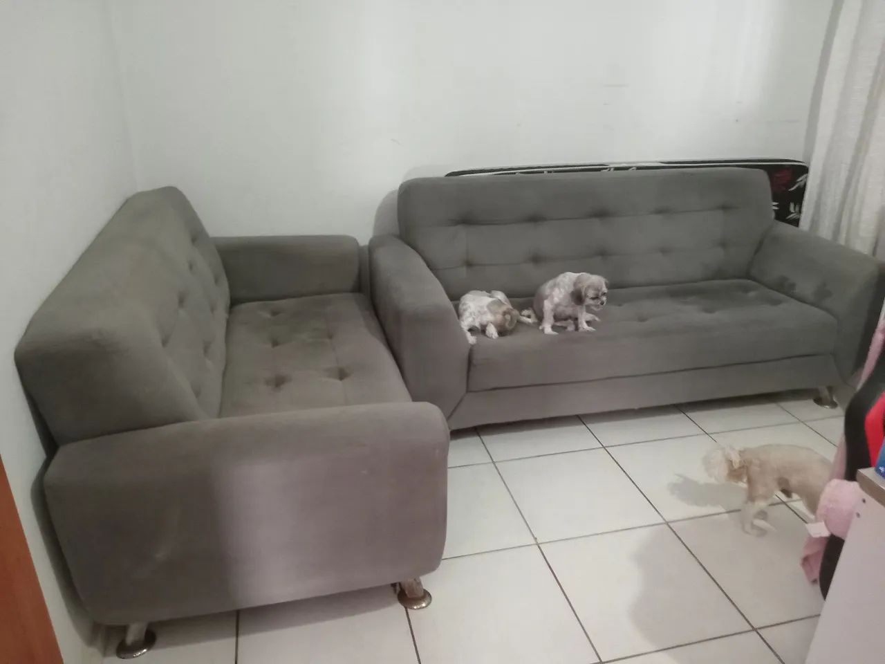 Sofa 2 e 3 lugares usado bom zap *