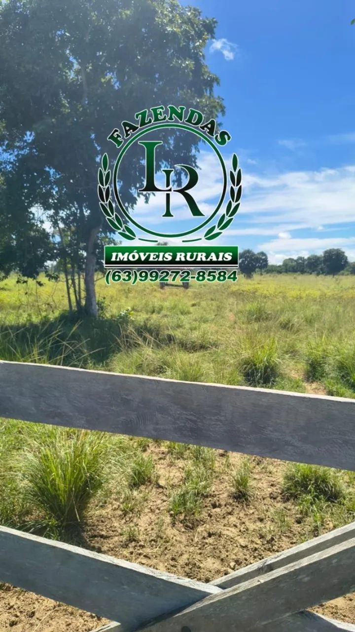 FAZENDA DUPLA APTIDÃO REGIÃO PEDRO AFONSO - Foto 5