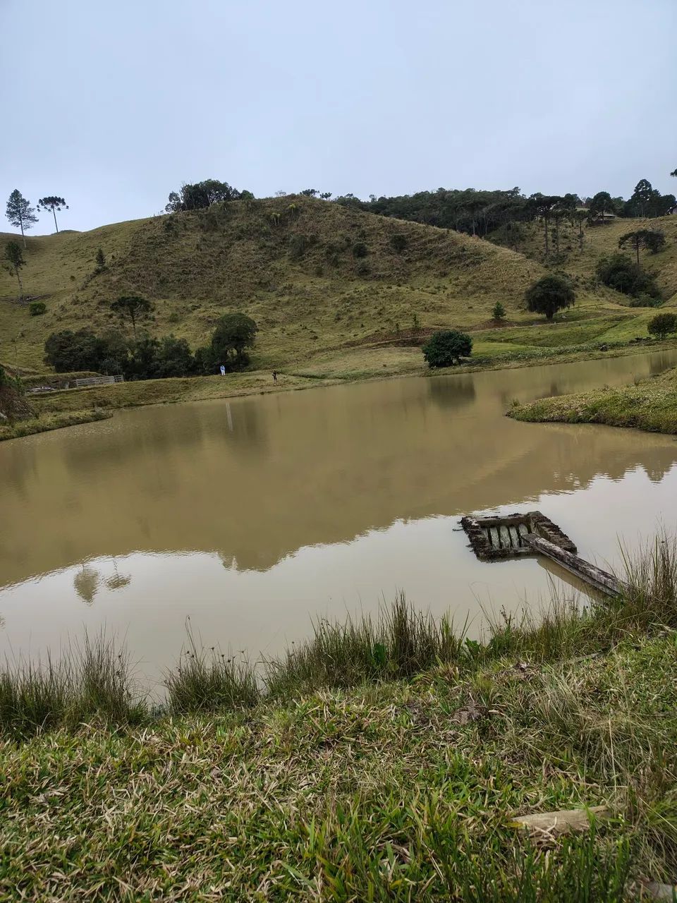 Terreno para sítio em Rancho Queimado - Foto 2
