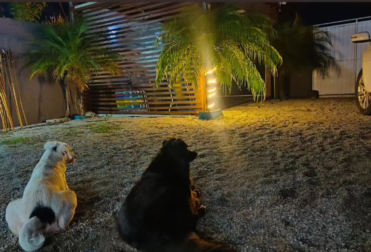 Casa com ofurô a 300 metros do mar ! - Foto 3