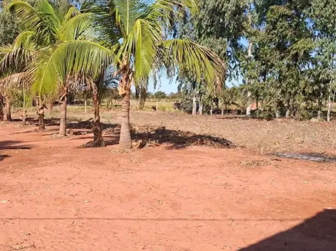Oportunidade Unica - Foto 5