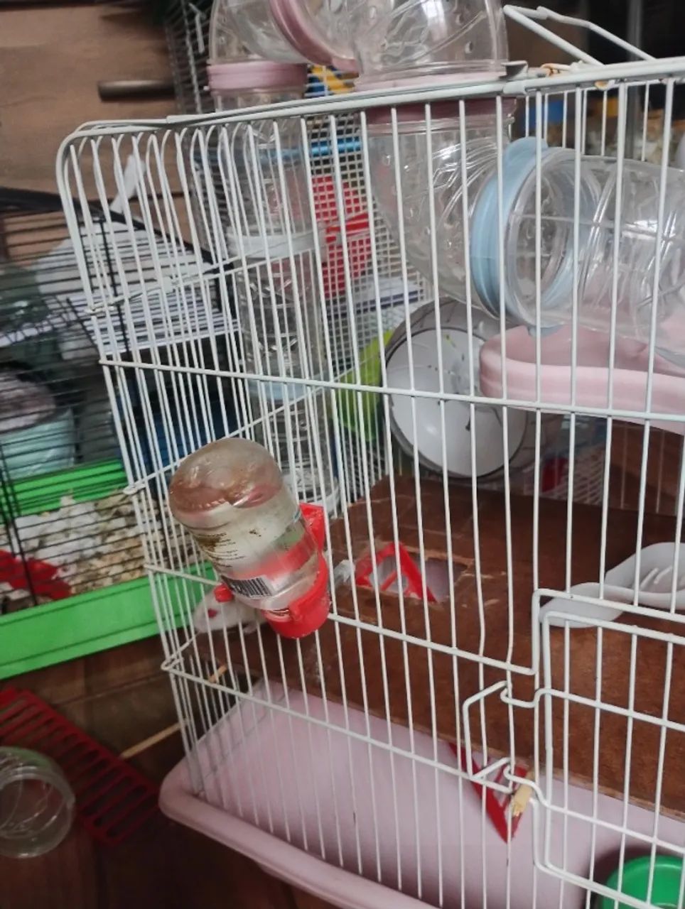 Hamster e gaiola - Foto 4