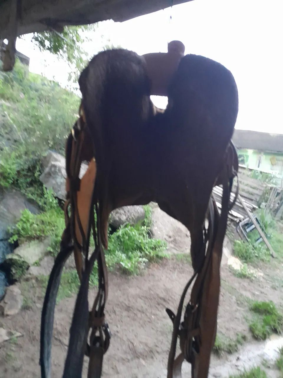 Cela semi nova *  - Foto 5