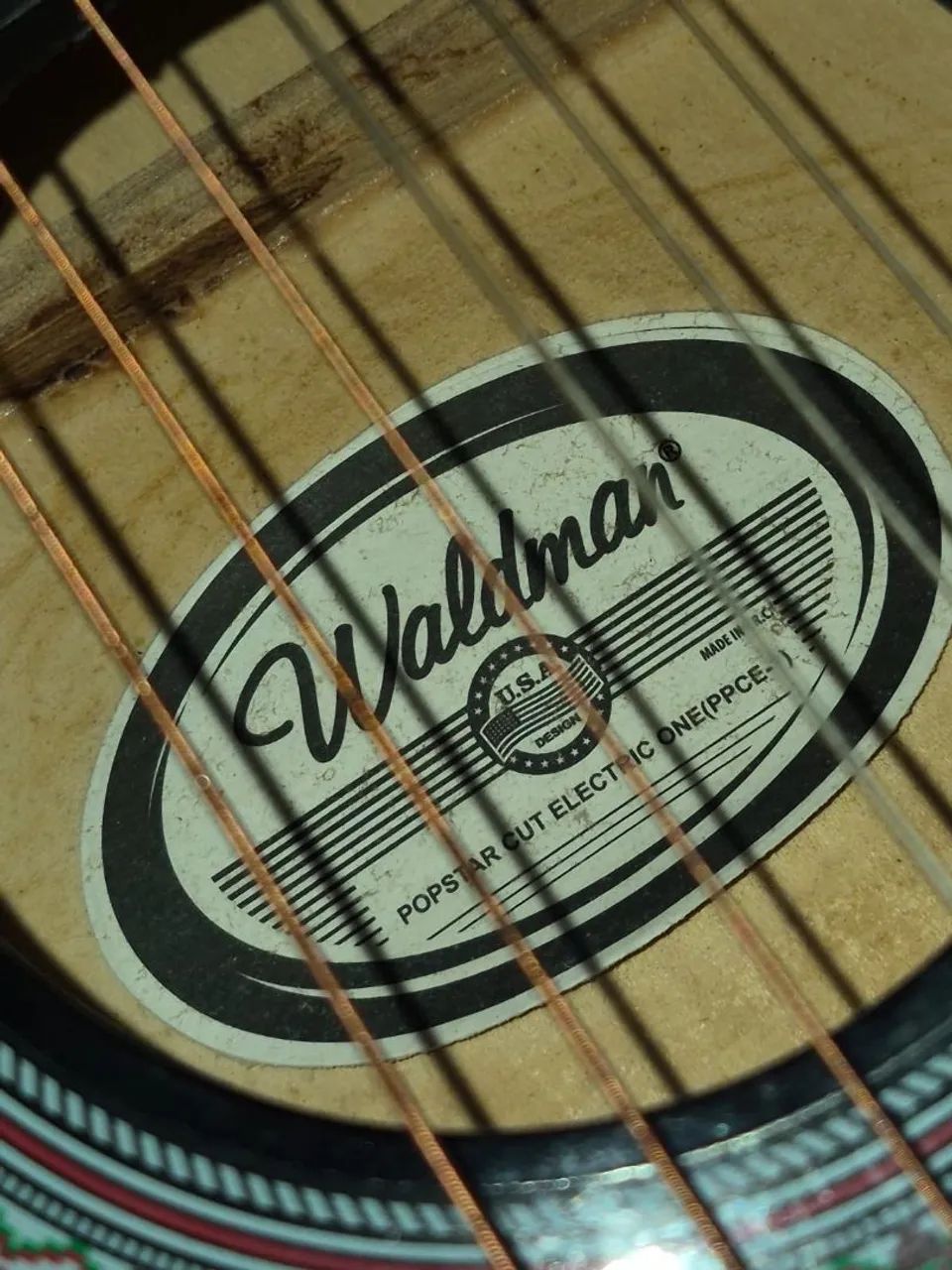 violao eletrico waldman - Foto 2