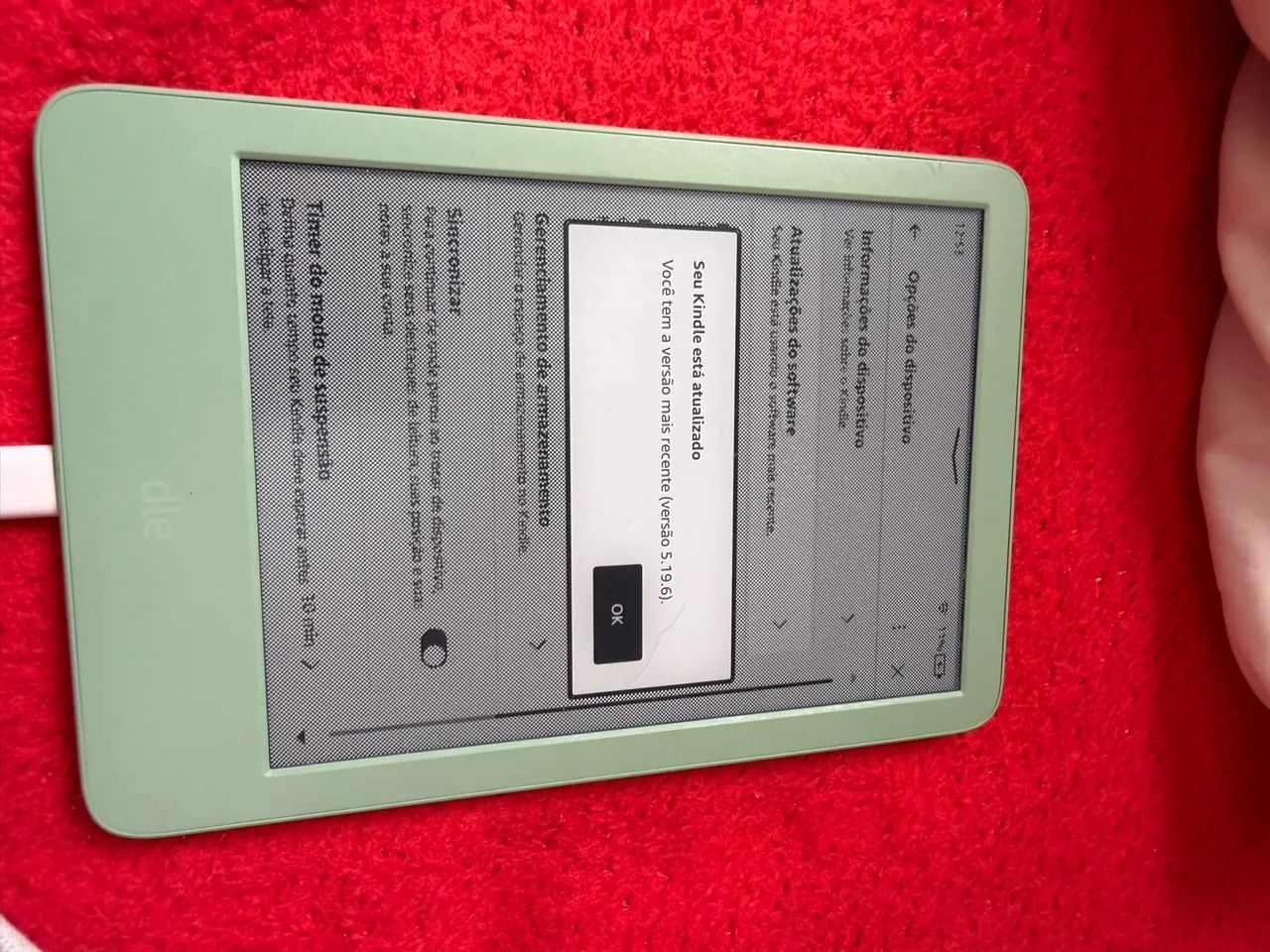 Kindle verde 11° 2024 