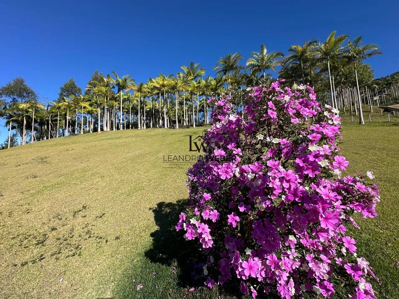 Sítio dos Sonhos com 9 Hectares em Antônio Carlos/SC - Foto 2