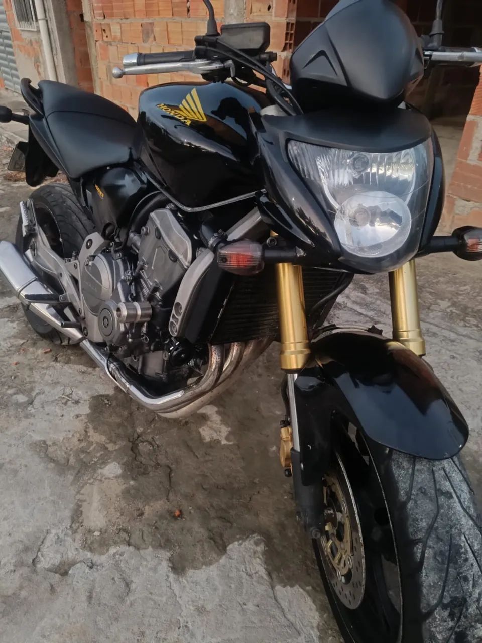 Hornet 600f