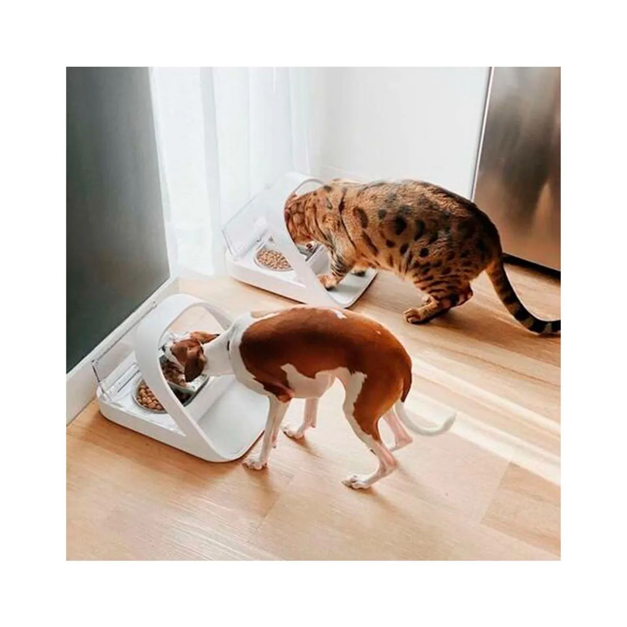 Comedouro Inteligente Sure Petcare para Cães e Gatos 240 ml