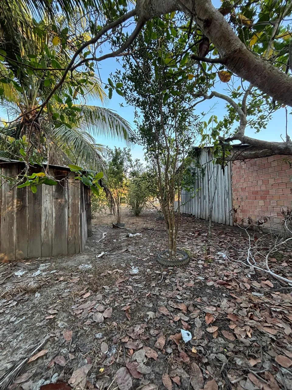 Vende-se sítio  - Foto 4