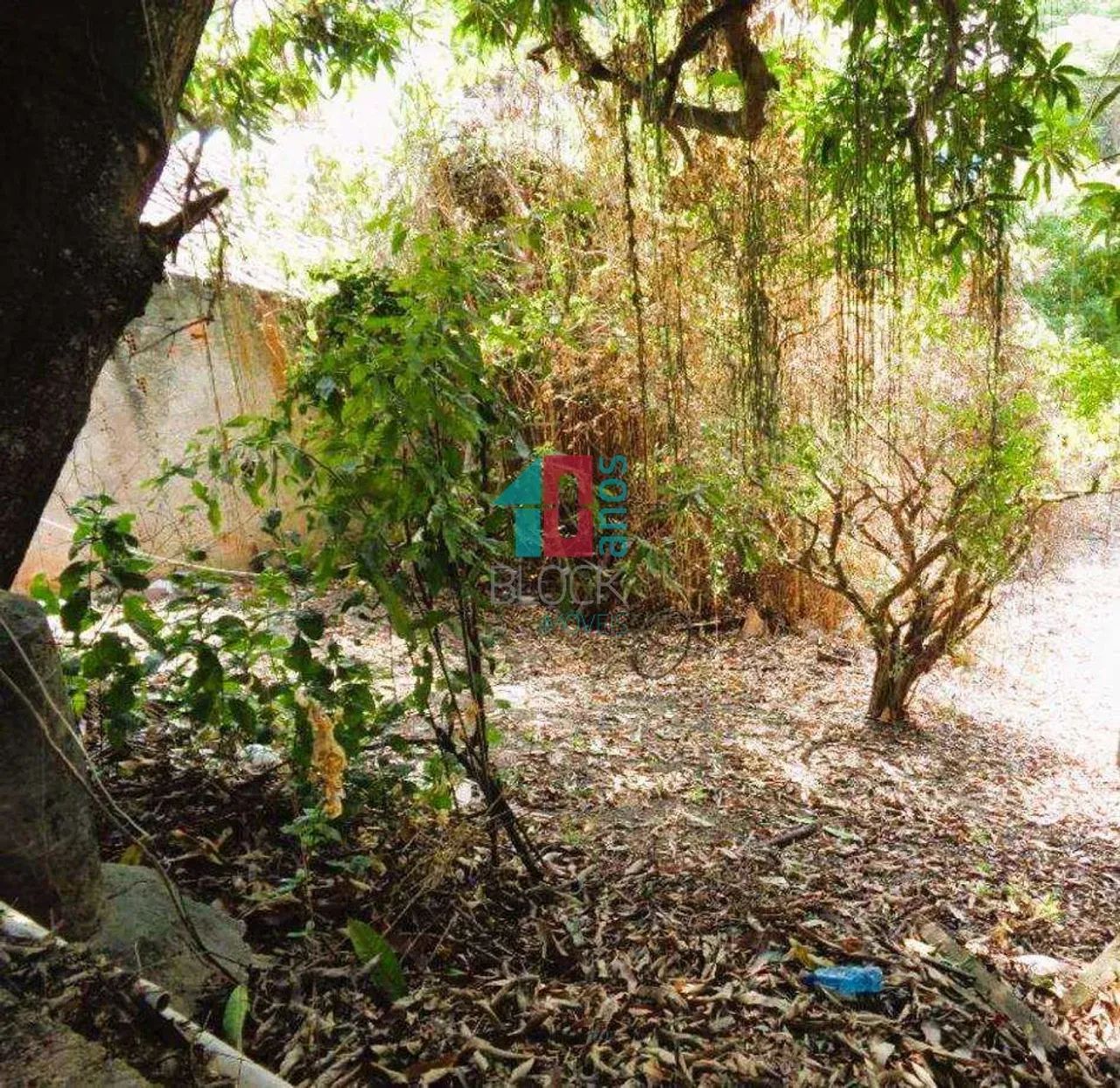 Freguesia (Jacarepaguá) | Terreno - Foto 5