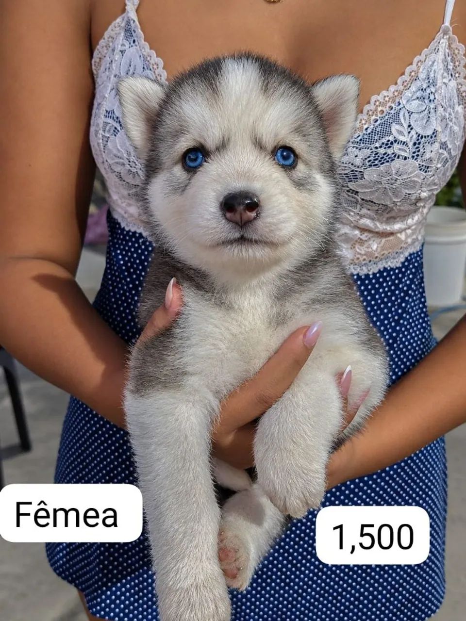 Pra venda - Foto 2
