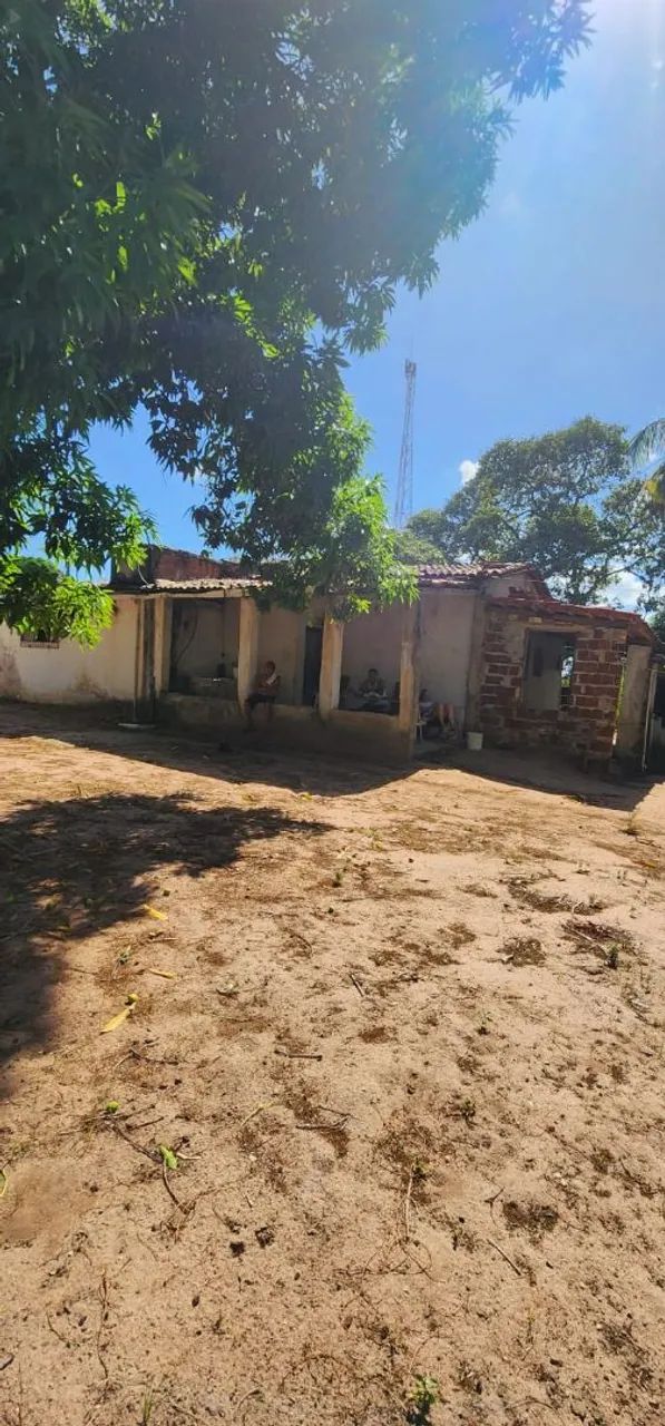 Terreno em Macaíba  - Foto 3