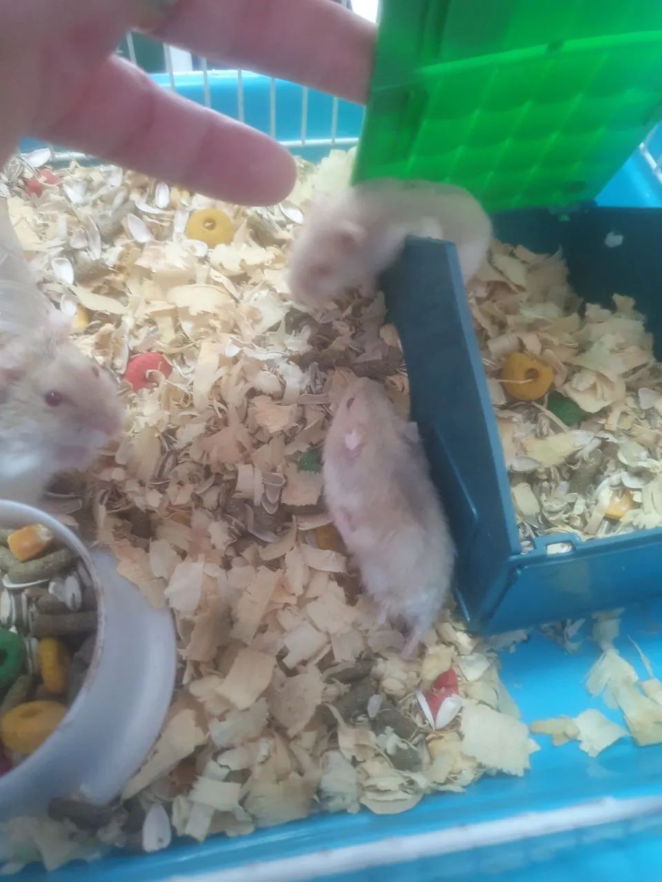 RAMISTER RUSSO R$ 35 ,00 - Foto 3