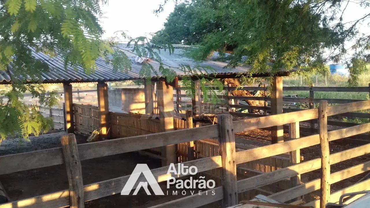 FAZENDA COM 497 HECTARES - Foto 5
