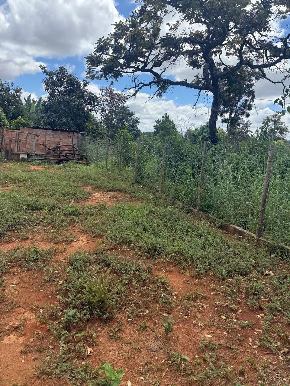 Lote 1000 metros - OPORTUNIDADE  - Foto 2