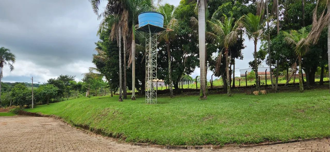 Chácara 4 alqueires em Nerópolis Go - Foto 2