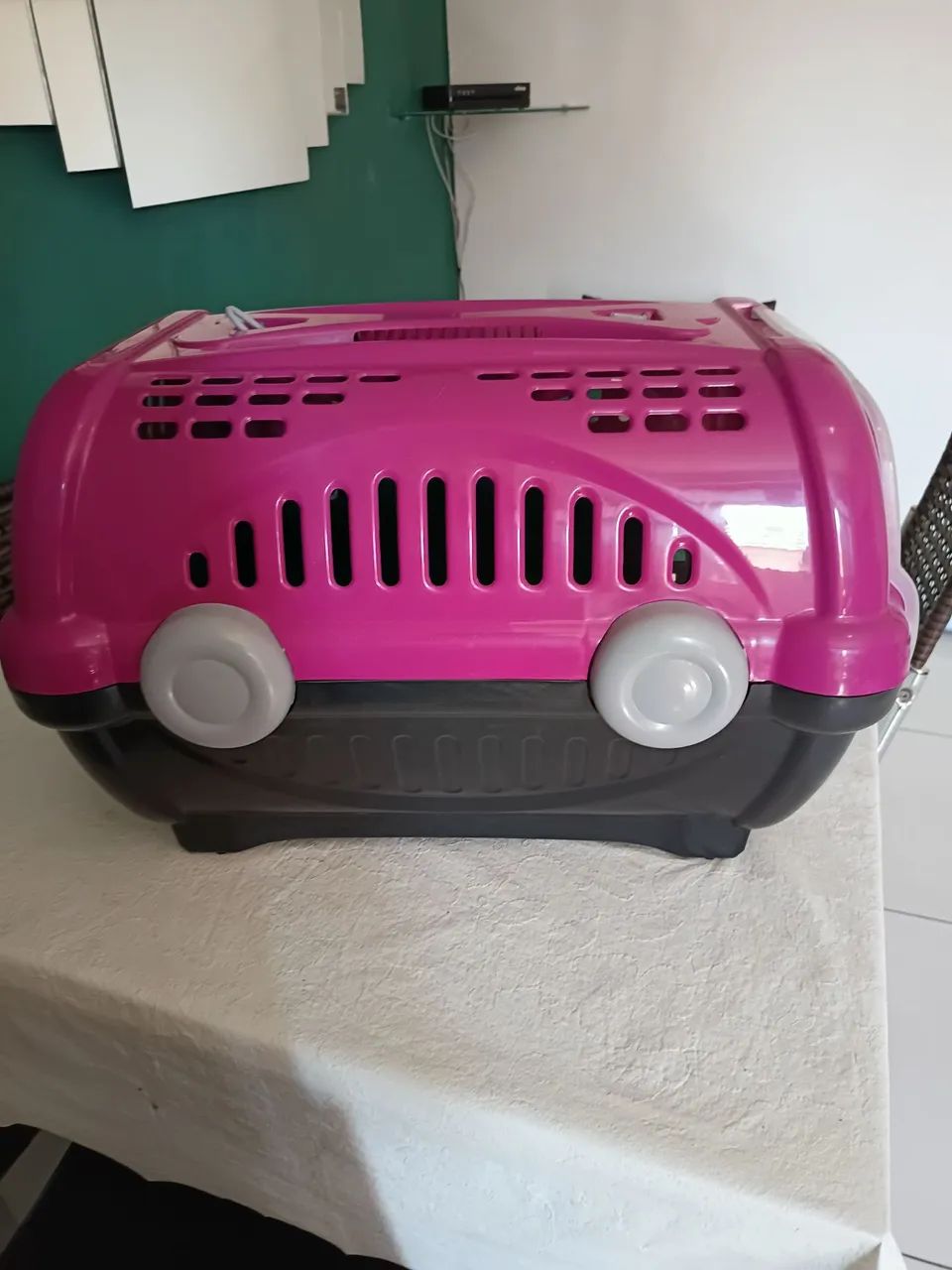 Doação de uma caixa de transporte grande e duas gatinhas 