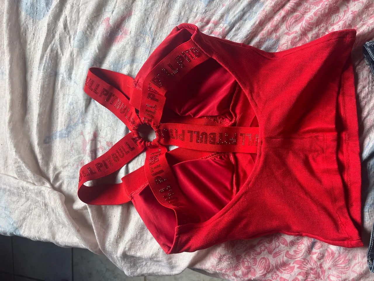 Conjunto Pit bul 