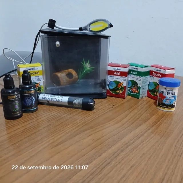 Kit Aquário e Acessórios criação Beta