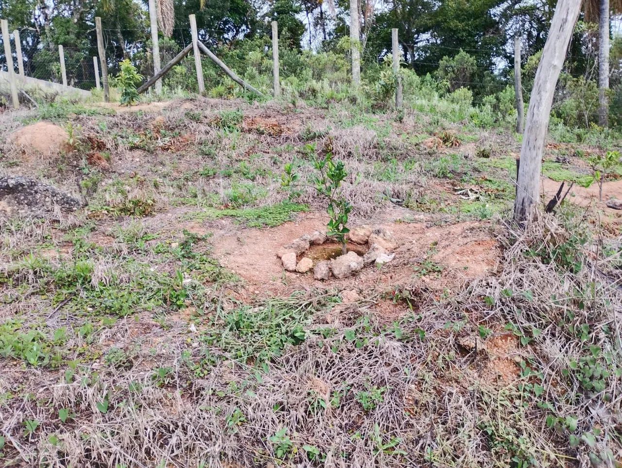 Terreno para formar chácara  - Foto 5