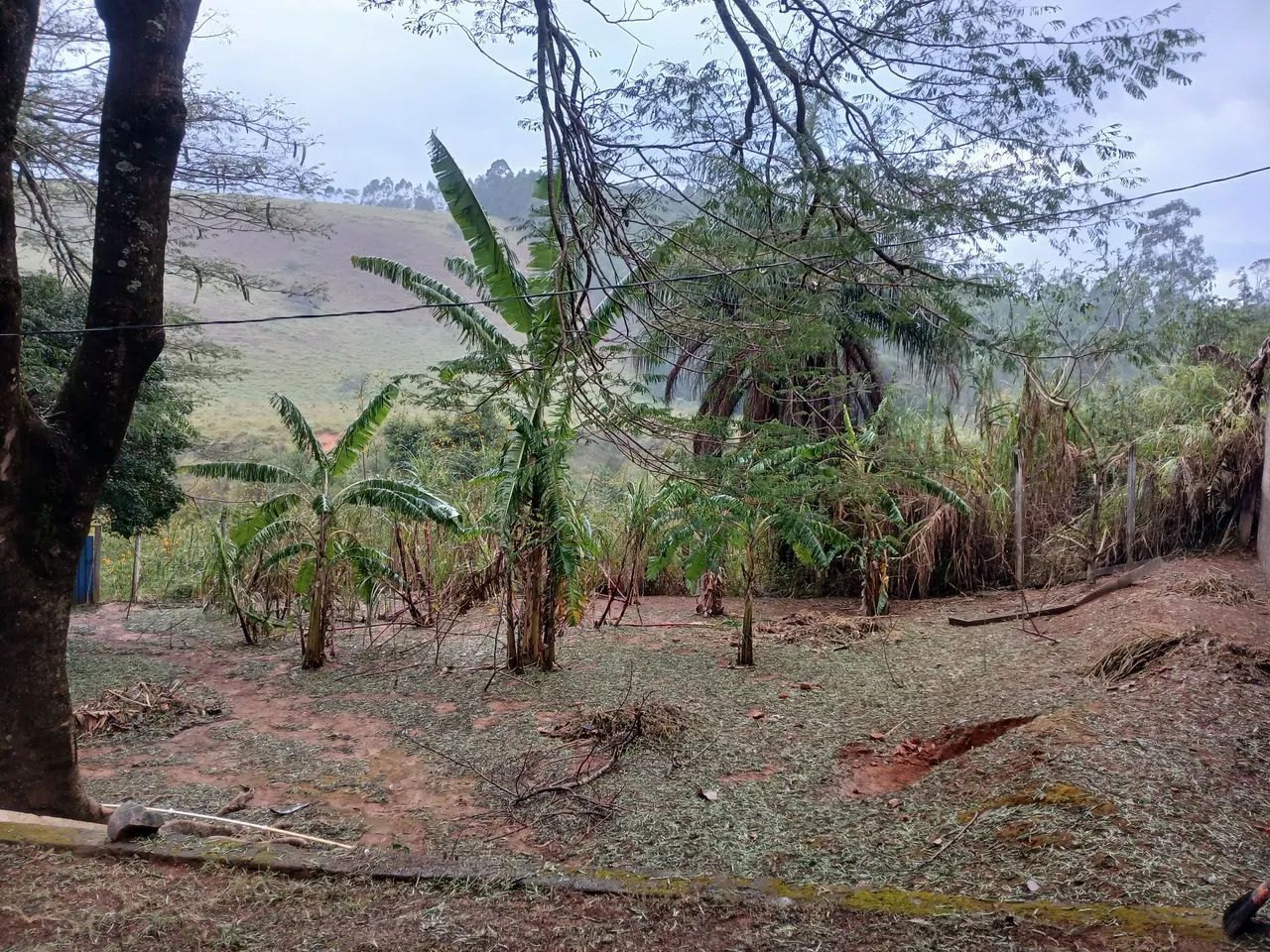 Sitio a Venda no Jorge - Foto 4