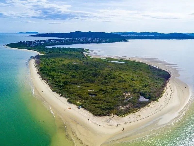 Terreno para Venda em Florianópolis, Daniela - Foto 4