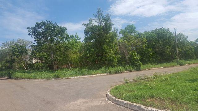 Lote de 542 m² na 509 Sul - Bem Localizado - Foto 4