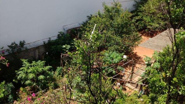 Casa em lote amplo, 3 quartos, quintal, 3 vagas - Foto 13