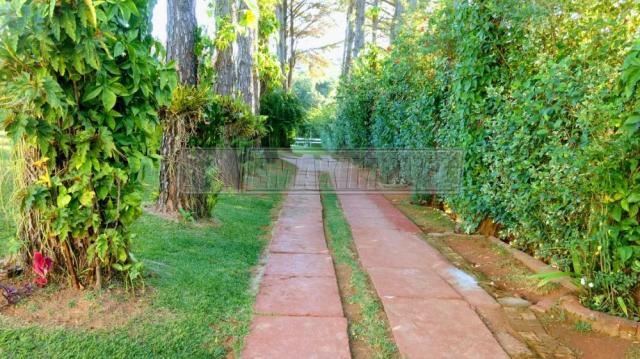 Chácara para alugar com 0 dormitórios em Vila amorim, Votorantim cod:L528131 - Foto 3