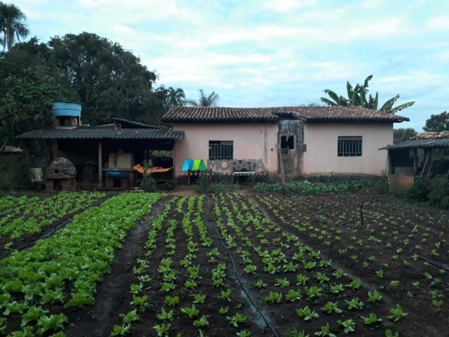 Fazendinha - 08 hectares - paraopeba (mg)