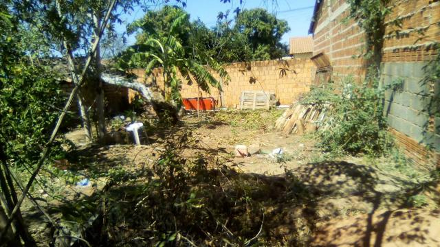 Lote