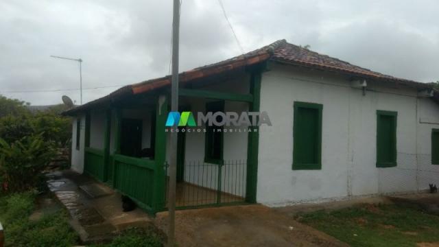 Fazenda à venda - 100 hectares - sete lagoas (mg)